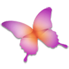 CS2 WIN Indesign Cs2